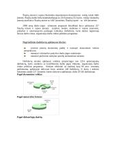 Šiaulių darbo rinka 6 puslapis