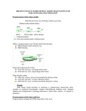 Šiaulių darbo rinka 10 puslapis