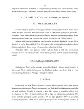 Šiaurės Lietuva: Pasvalys, Joniškis, Akmenė 15 puslapis