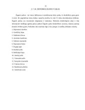 Šiaurės Lietuva: Pasvalys, Joniškis, Akmenė 18 puslapis