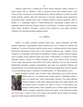 Šiaurės Lietuva: Pasvalys, Joniškis, Akmenė 20 puslapis