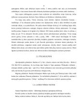 Šiaurės Lietuva: Pasvalys, Joniškis, Akmenė 7 puslapis