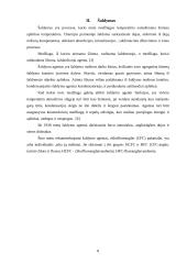 Šildymas, šaldymas. Šilumokaičių klasifikacija 7 puslapis