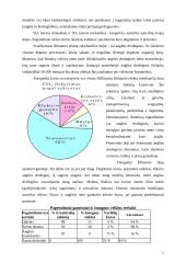 Šiltnamio efektas ir oro tarša 2 puslapis