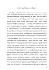 Šiluminė termofikacinė elektrinė 11 puslapis