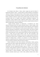 Šiluminė termofikacinė elektrinė 5 puslapis