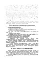 Šiluminės elektrinės 2 puslapis