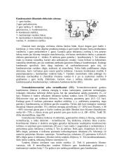 Šiluminės elektrinės 4 puslapis