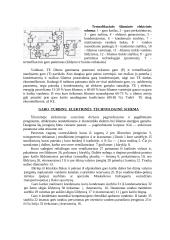 Šiluminės elektrinės 5 puslapis