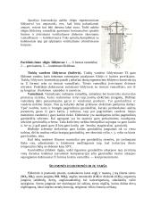 Šiluminės elektrinės 8 puslapis