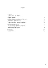 Šiluminės elektrinės (projektinis darbas) 2 puslapis