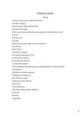 Šiluminės elektrinės (projektinis darbas) 13 puslapis