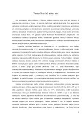 Šiluminės elektrinės (projektinis darbas) 6 puslapis