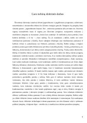 Šiluminės elektrinės (projektinis darbas) 8 puslapis