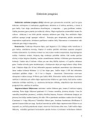 Šiluminės elektrinės (projektinis darbas) 9 puslapis