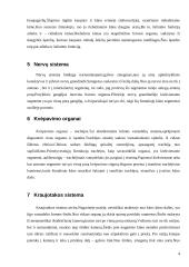 Šimtakojai (myriapoda) 4 puslapis