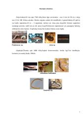 Šimtakojai (myriapoda) 7 puslapis