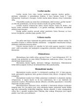 Šiuolaikinės moderniosios muzikos žanrai 4 puslapis