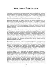 Šiuolaikinės moderniosios muzikos žanrai 10 puslapis