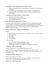 Atsakymai į klausimus apie Jono Biliūno kūrybą 2 puslapis