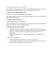 Atsakymai į klausimus apie Jono Biliūno kūrybą 3 puslapis