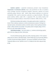 Šiuolaikinės pinigų formos 8 puslapis