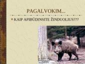 Žinduoliai. Gyvūnai, jauniklius maitinantys pienu 8 puslapis