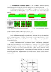 Šiuolaikinės spausdintinių plokščių gamybos technologijos 5 puslapis