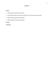 Šiuolaikinės šeimos deinstitucionalizacijos raida ir priežastys 2 puslapis