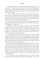 Šiuolaikinės šeimos deinstitucionalizacijos raida ir priežastys 3 puslapis