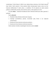 Šiuolaikinės šeimos deinstitucionalizacijos raida ir priežastys 4 puslapis