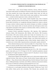 Šiuolaikinės šeimos deinstitucionalizacijos raida ir priežastys 7 puslapis