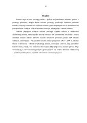 Šiuolaikinės tarptautinio turizmo tendencijos 14 puslapis