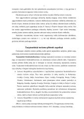 Šiuolaikinės tarptautinio turizmo tendencijos 6 puslapis