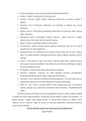 Šiuolaikinės valdymo teorijos ir jų įtaka valdymui 2 puslapis