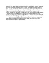 Ar būtini idealai žmogaus gyvenime? 2 puslapis