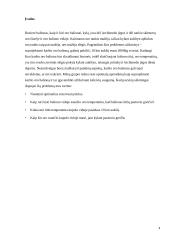 Rozerje balionas 3 puslapis