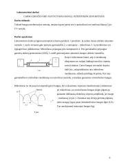 Rozerje balionas 5 puslapis