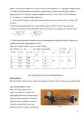 Rozerje balionas 7 puslapis