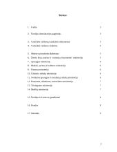 Švedijos valdymo institucijų sistema (vykdomoji valdžia) 2 puslapis