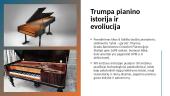 Pianino istorija bei garsiausi kompozitoriai  3 puslapis