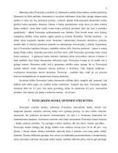 Šveicarijos bankai 11 puslapis