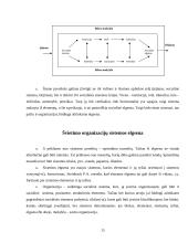 Švietimo organizacijų kultūra, jos raidos problemiškumas 15 puslapis