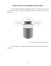 Švietimo organizacijų kultūra, jos raidos problemiškumas 10 puslapis