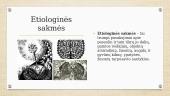 Sakmių kūrimas 8 puslapis