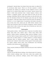 Tabakas ir ekologija 5 puslapis