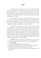 Tarpkultūriniai komunikaciniai keliai 2 puslapis