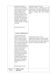 Fizino ugdymo pamokos planas. 2 klasė 3 puslapis