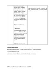 Fizino ugdymo pamokos planas. 2 klasė 4 puslapis