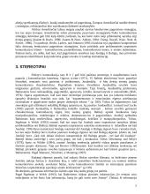 Tarprasinės komunikacijos skirtumai 5 puslapis